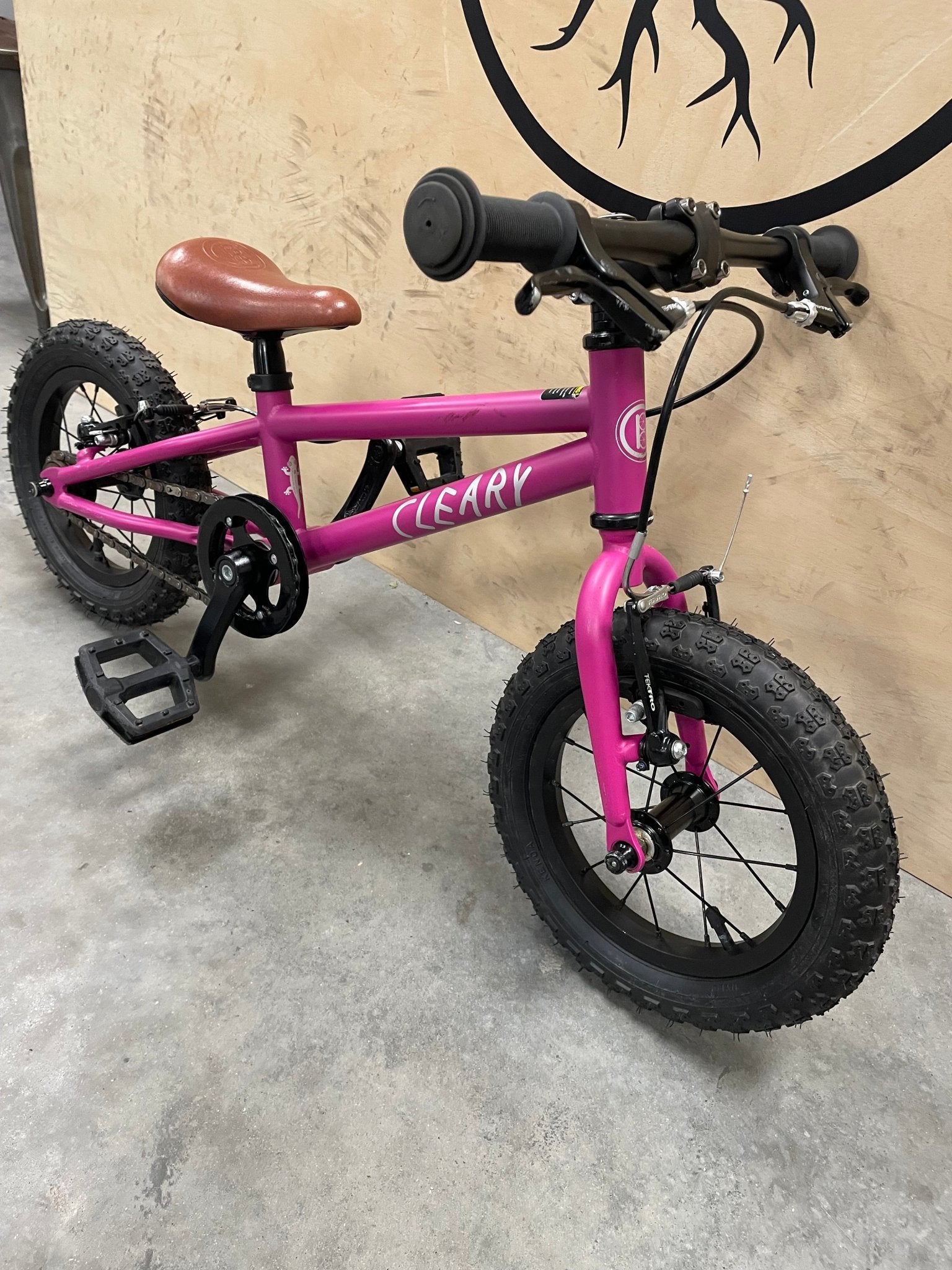 Cleary Gecko 12" Single Speed Kid Bike Pink *Rental* - Biking Roots