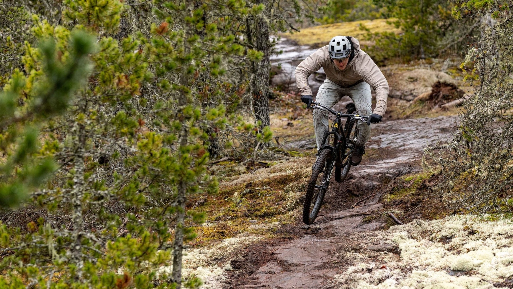 Forbidden Druid V2 GX FX - Biking Roots