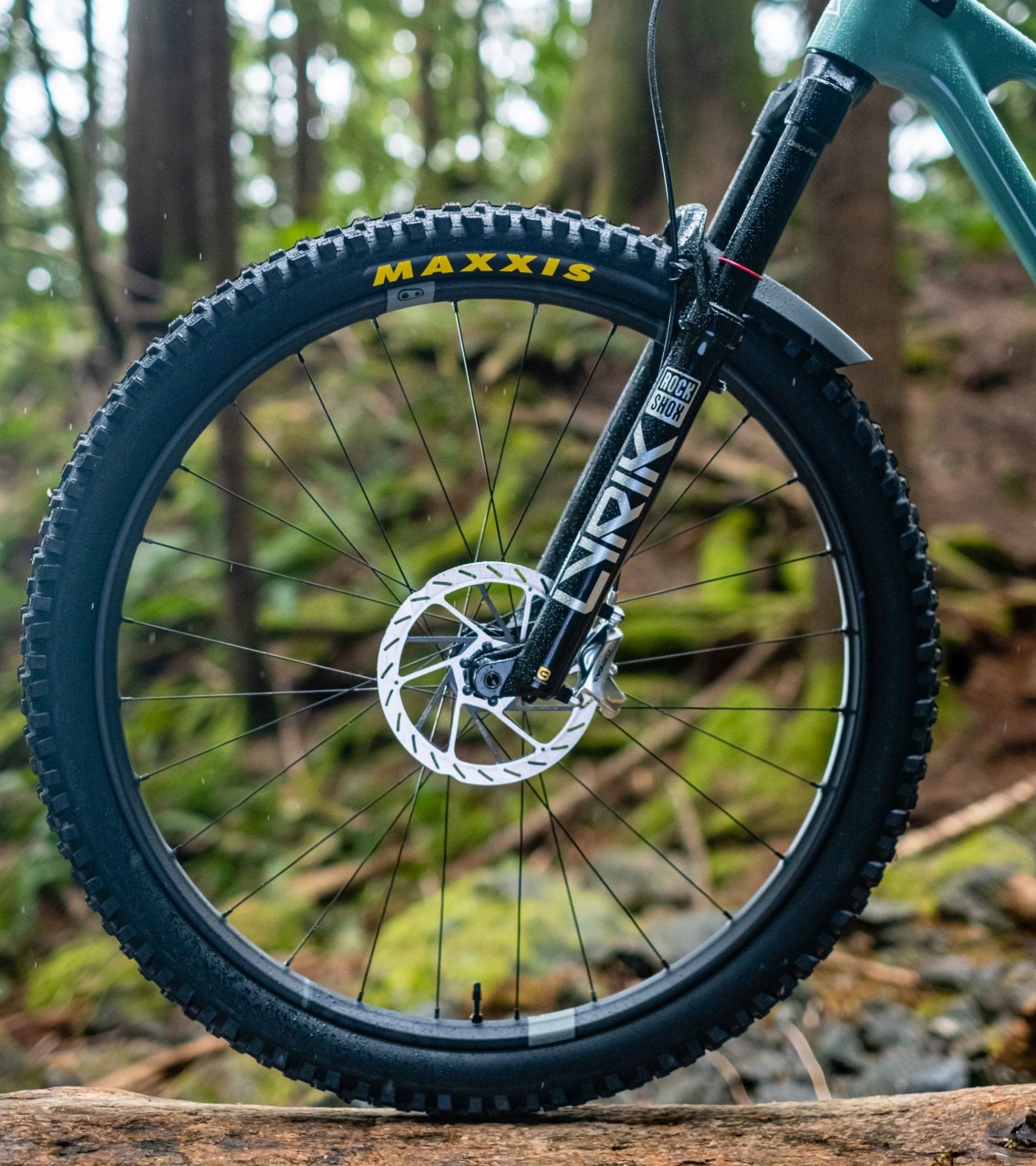 Forbidden Druid V2 GX FX - Biking Roots