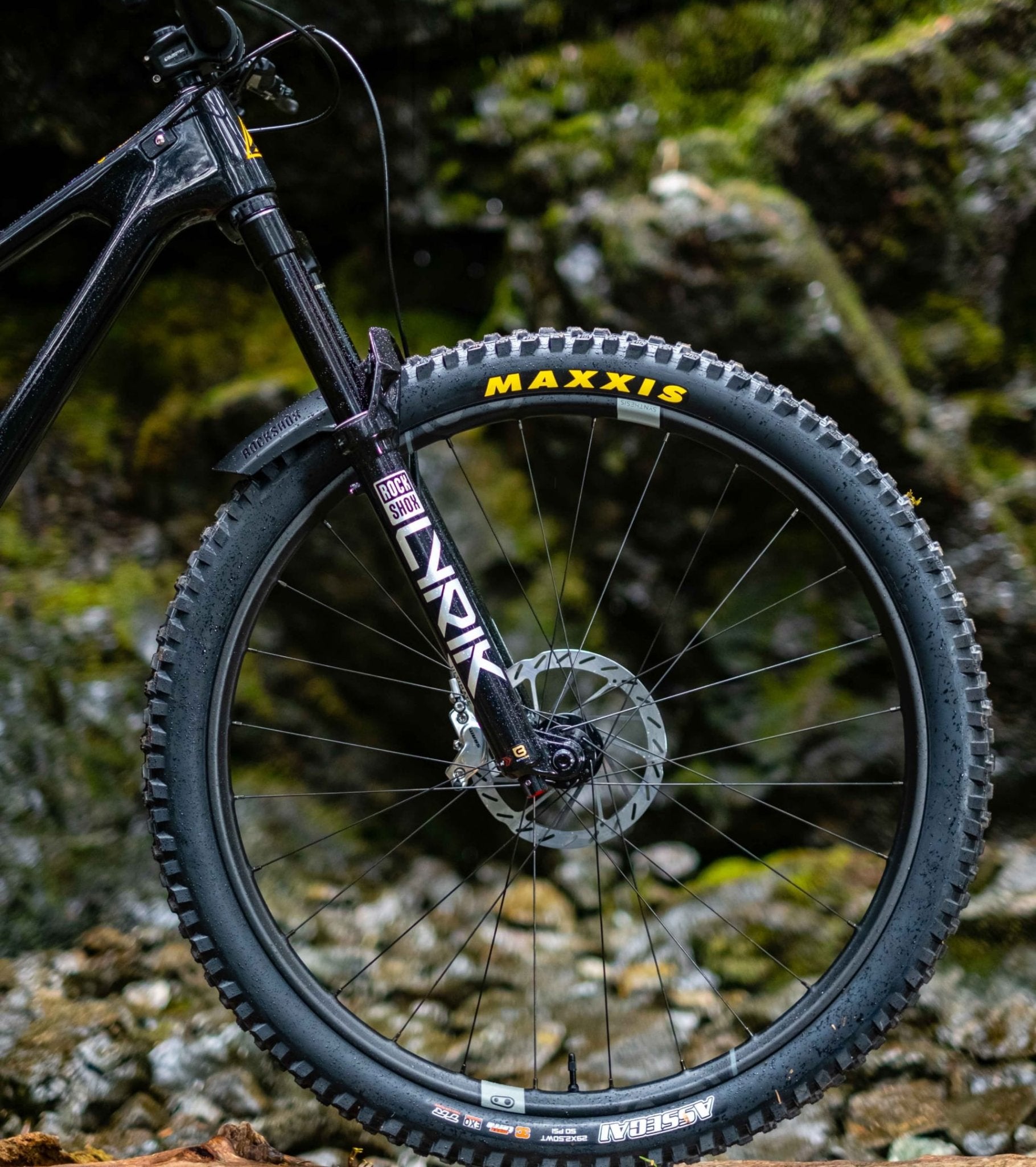 Forbidden Druid V2 GX FX - Biking Roots