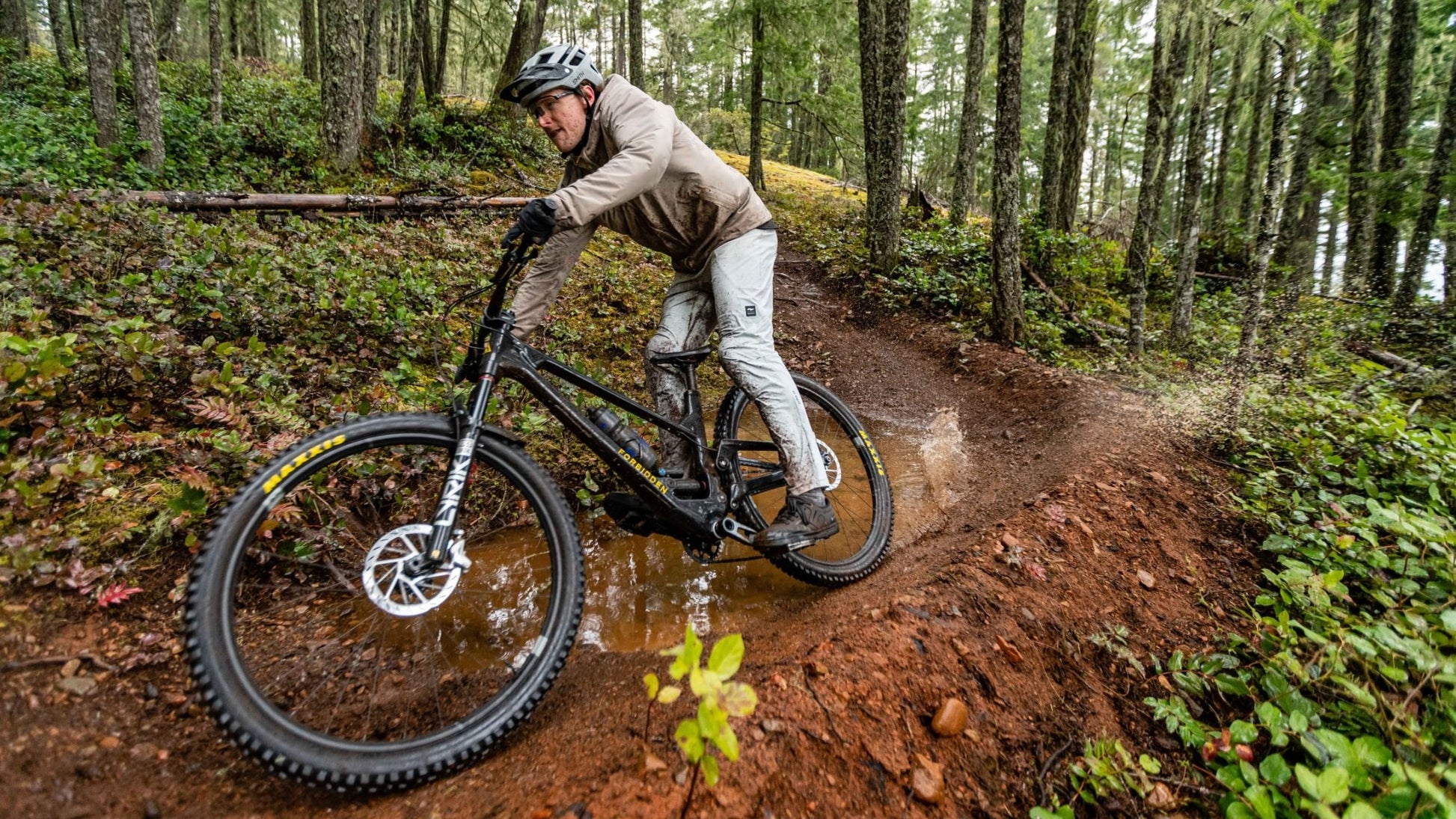 Forbidden Druid V2 GX FX - Biking Roots